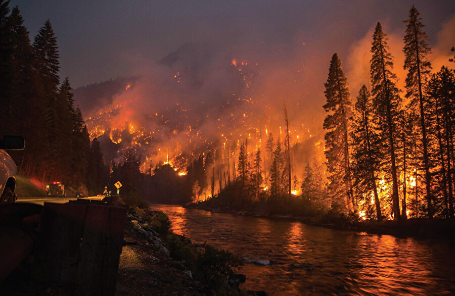 Amazon Yağmur Ormanları Dünya'nın ciğerleri olarak görülüyor.