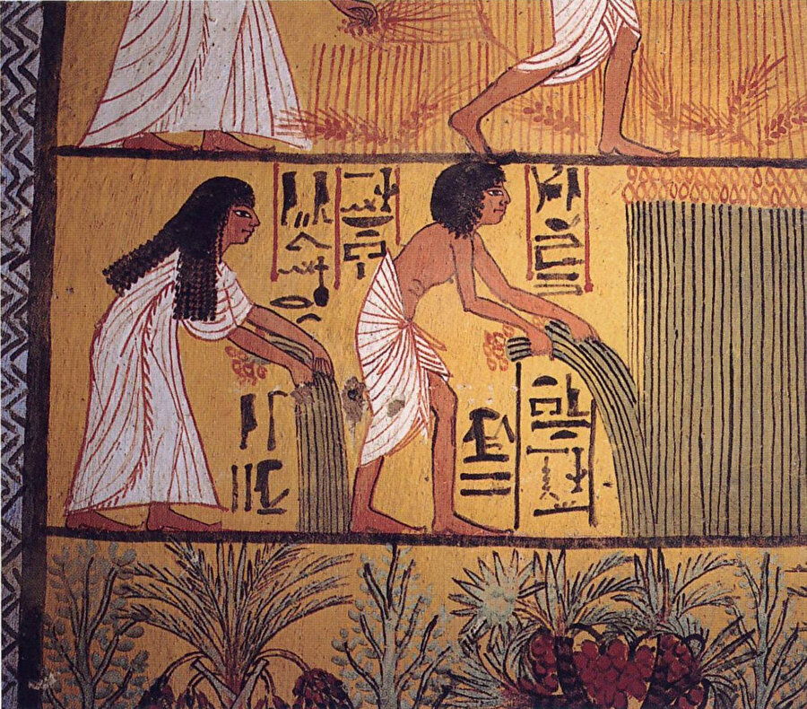 Mısır'daki eski çiftçiler.