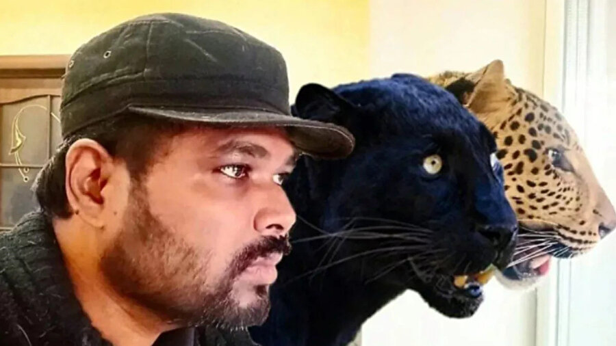 Hint doktor Girikumar Patil evinde jaguar ve panter besliyor
