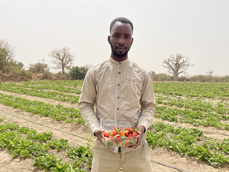 Senegalli 29 yaşındaki Salif Ba.