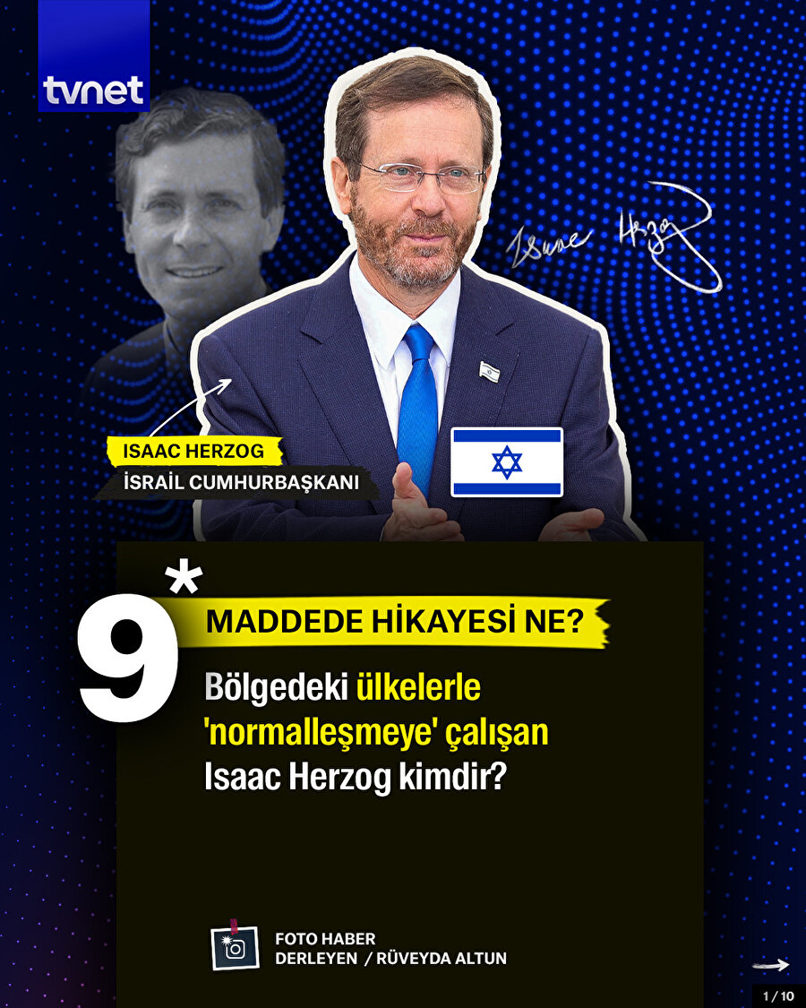 9 maddede Herzog'un hikayesi ne?