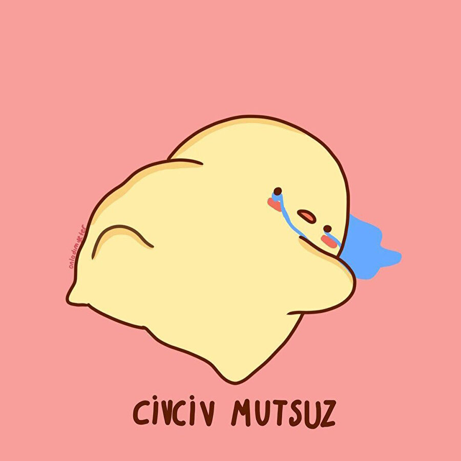 Karlı havalarda biz