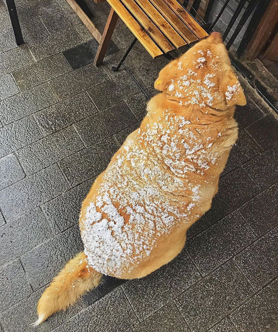 Kahvaltıda küt böreği var