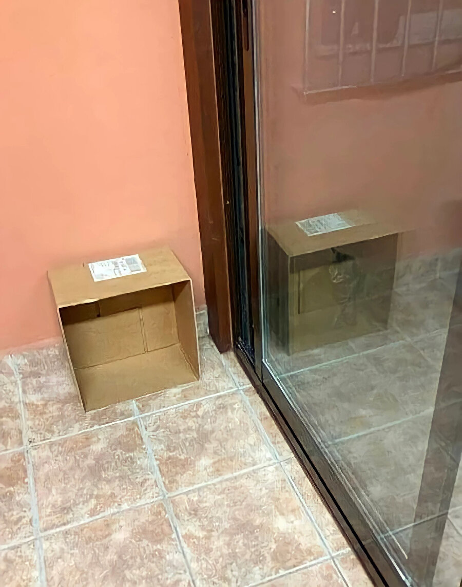 Schrödinger'in kedisi