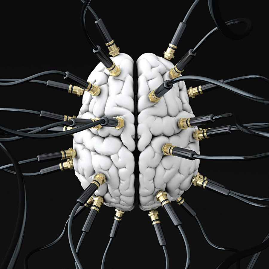 Beyin ve sinir sistemi gerçekten mucizevi bir organ.