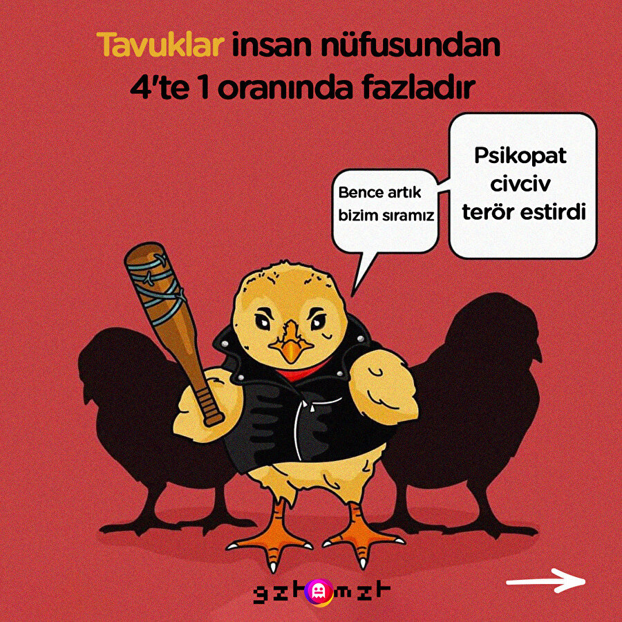 Hayvanlar hakkında 10 ilginç bilgi