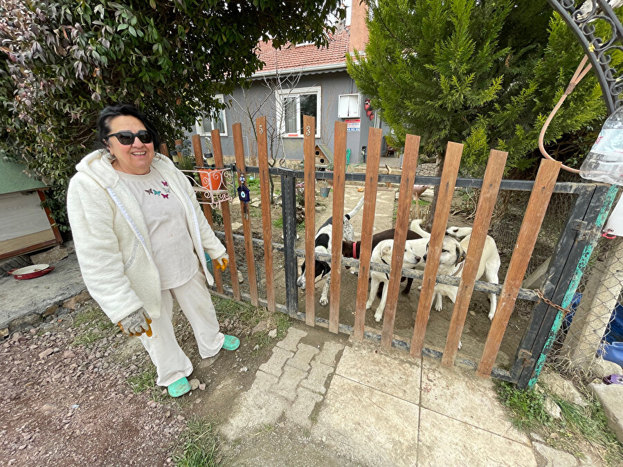 Emekli hostes ömrünü sokak hayvanlarına adadı: 40 kedi ve 8 köpeğe bakıyor