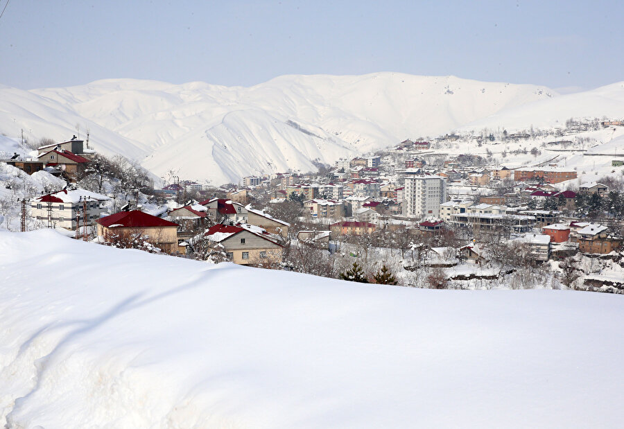 Bitlis'te çığ riski nedeniyle 40 ev boşaltıldı