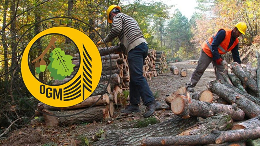 Orman Genel Müdürlüğü ve Devlet Su İşleri kadroları için yapılacak 5 bin 64 personel alımı yapılacak