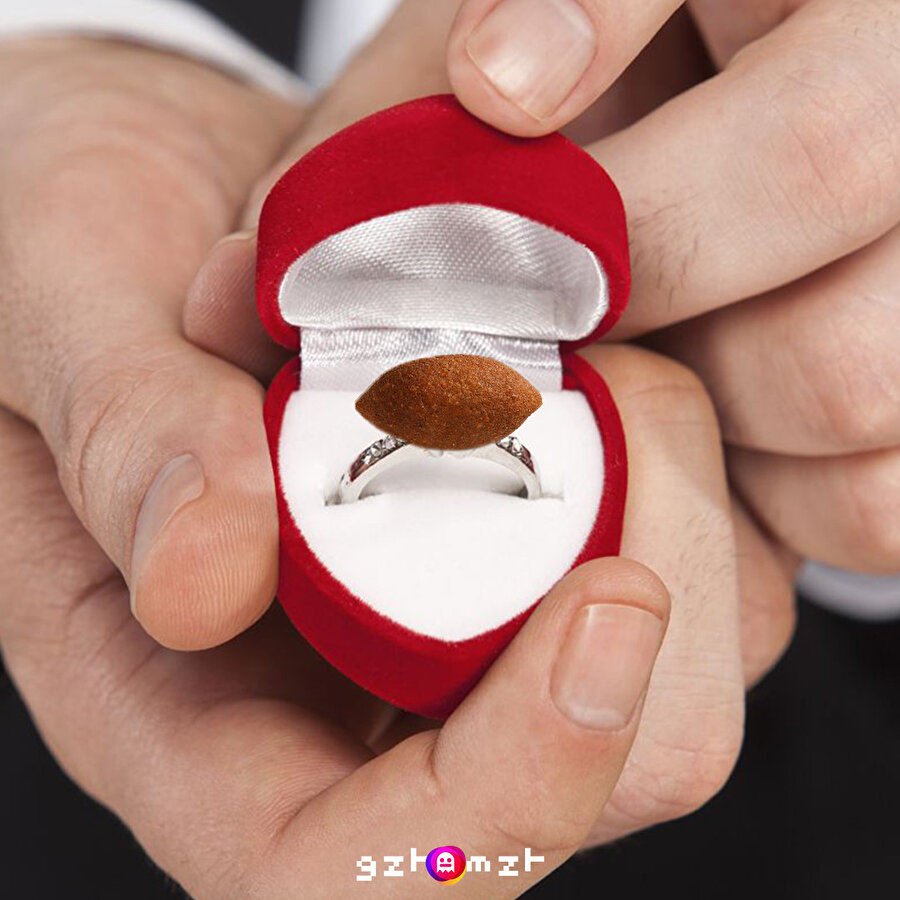 Teklif dediğin böyle olur