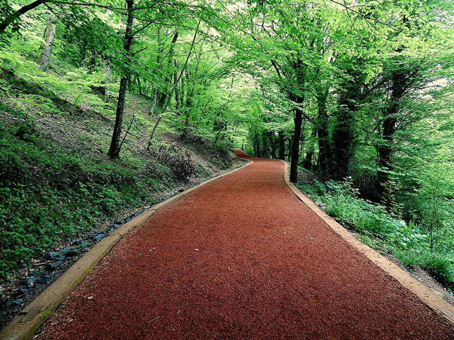 Belgrad Ormanı.