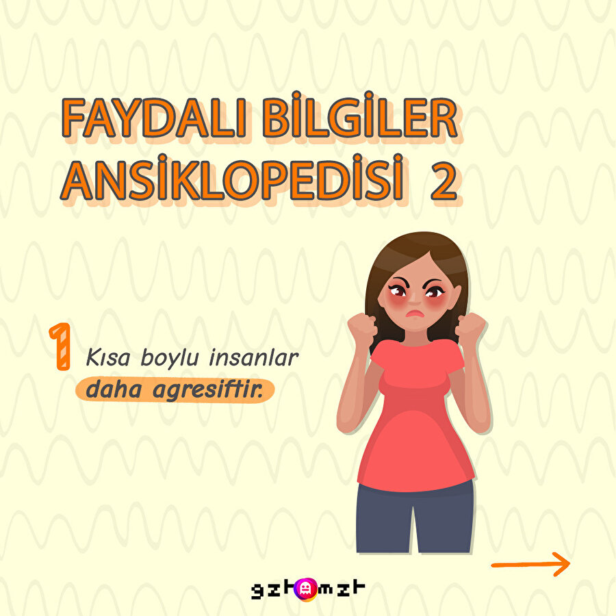 Faydalı bilgiler ansiklopedisi 2