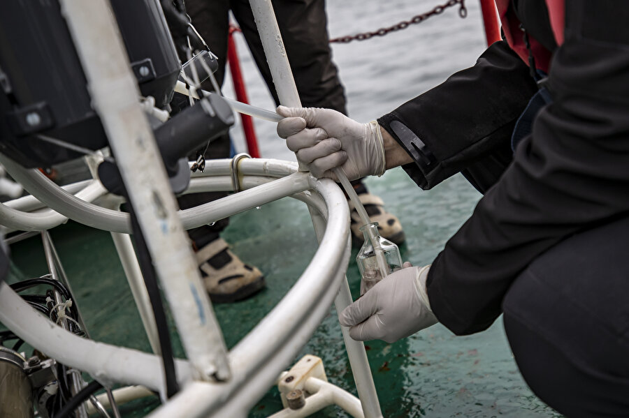 Yeni tehlike: Marmara Denizi'ndeki 'oksijen azlığı' alarm veriyor
