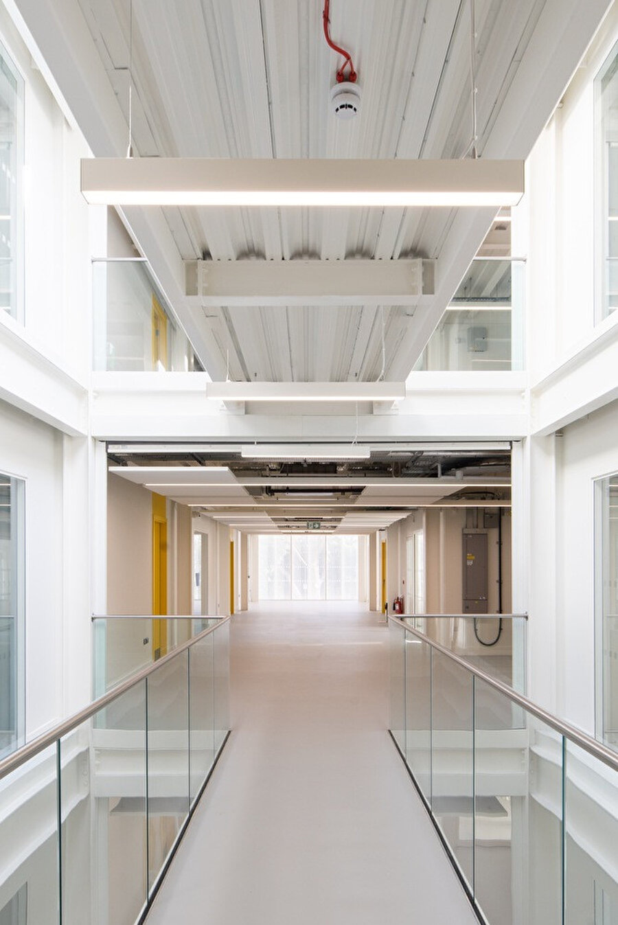 Yoğun beyaz dokusu.