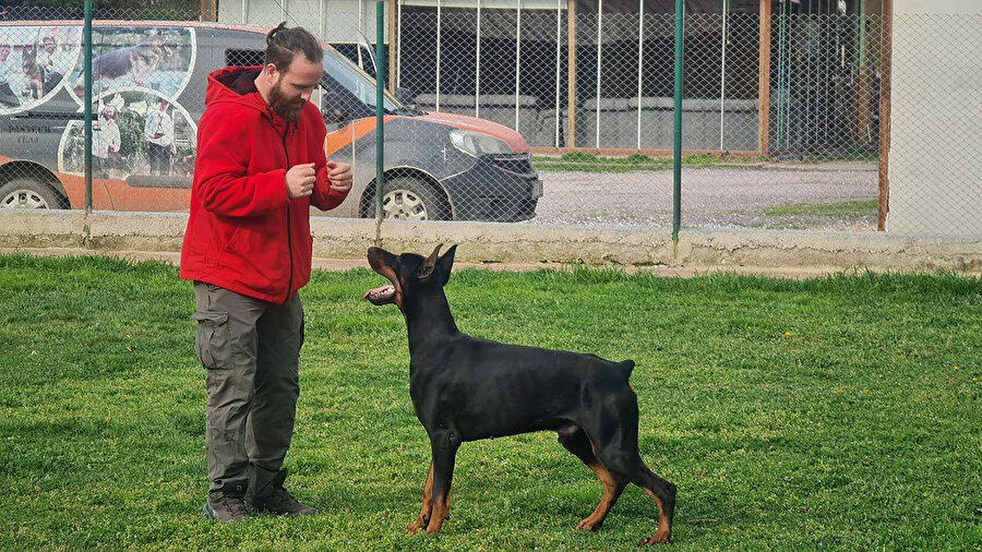 Köpek eğitmeni Semih Soydemir