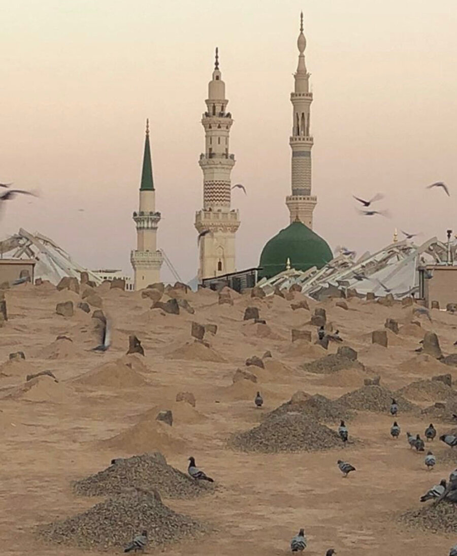 Medine