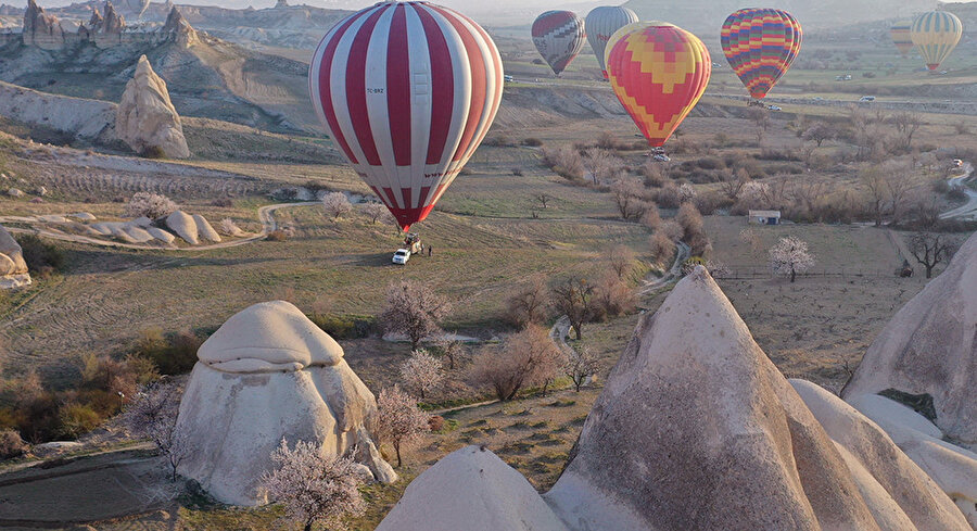 İlkbaharda açan çiçekler Kapadokya'ya renk kattı