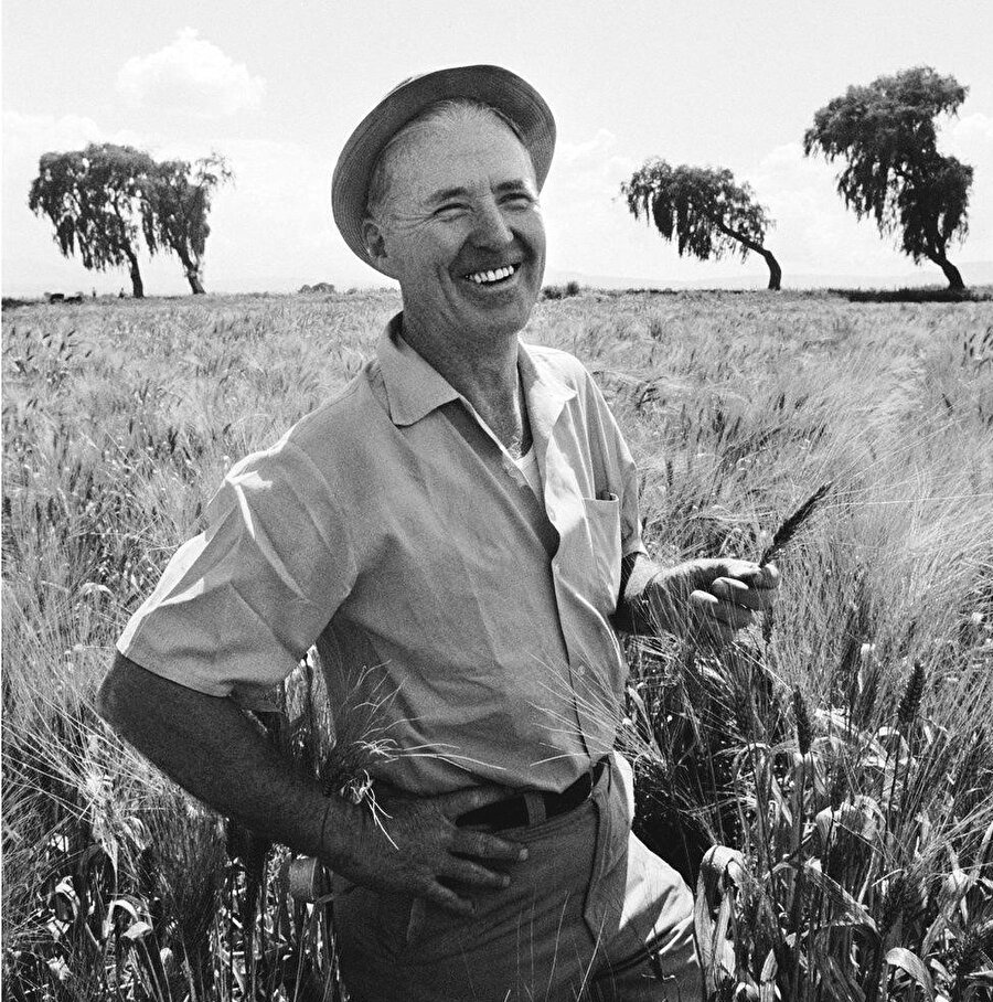 1970 yılında Nobel ile ödüllendirilen Norman E. Borlaug ise felaketin “Babası” ilan edildi. Temel prensipleri hibrit tohumların, sentetik gübrelerin ve pestisitlerin kullanımına, sulama altyapısının genişletilmesine, yönetim tekniklerinin modernizasyonuna dayanan sistem, zaman içinde tabii olan ne varsa zehirledi, tahrip etti.