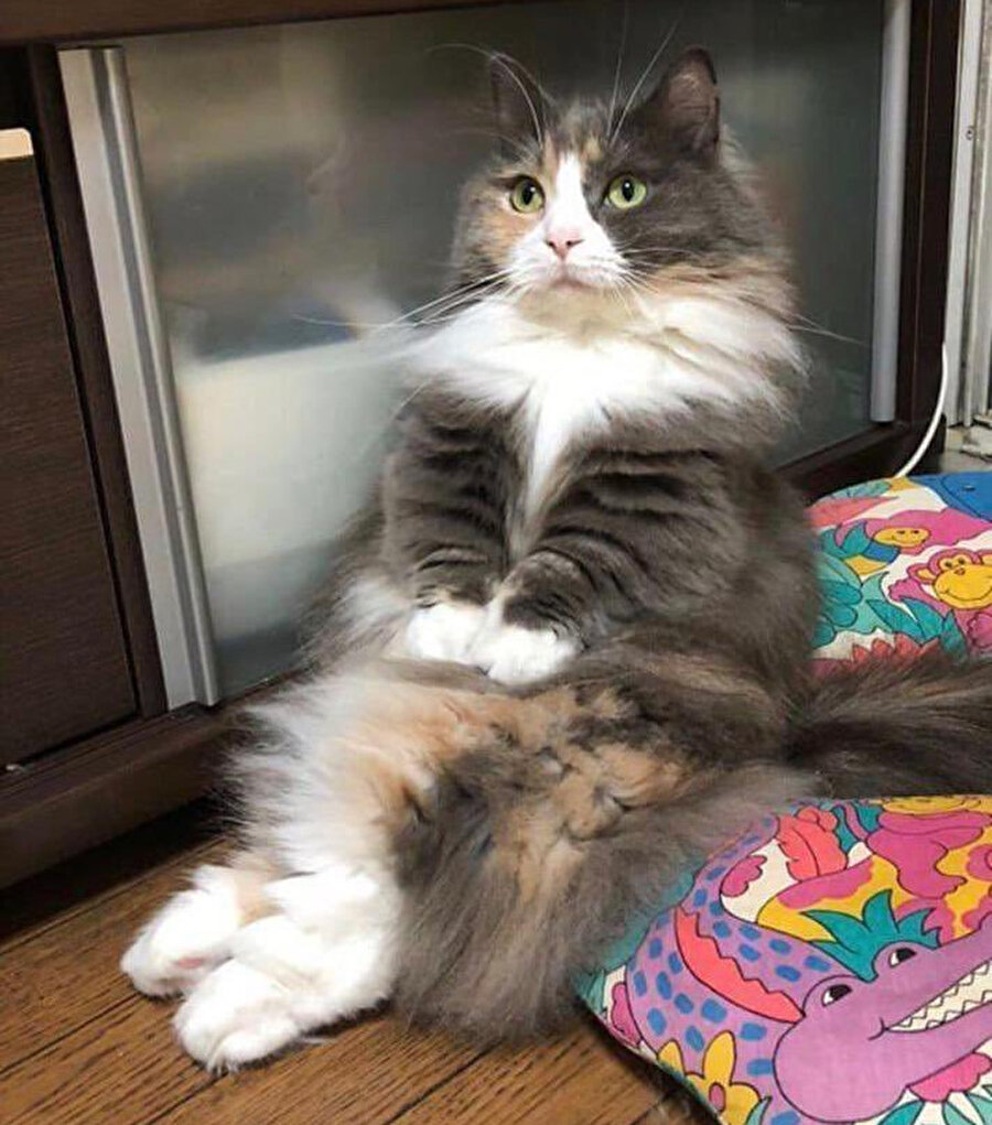 Misafirlikte annem iki dakika lavaboya gitmiştir
