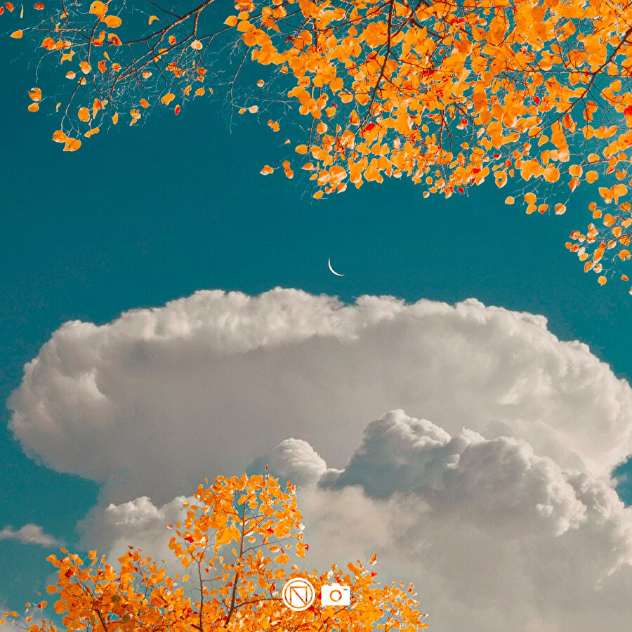 Sophia Ahamed'in fotoğraflarını beğendiniz mi?