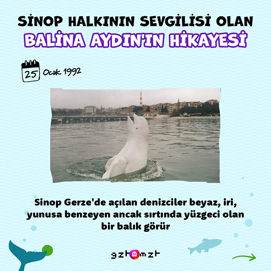 Sinop'un maskotu Balina Aydın ile tanışın