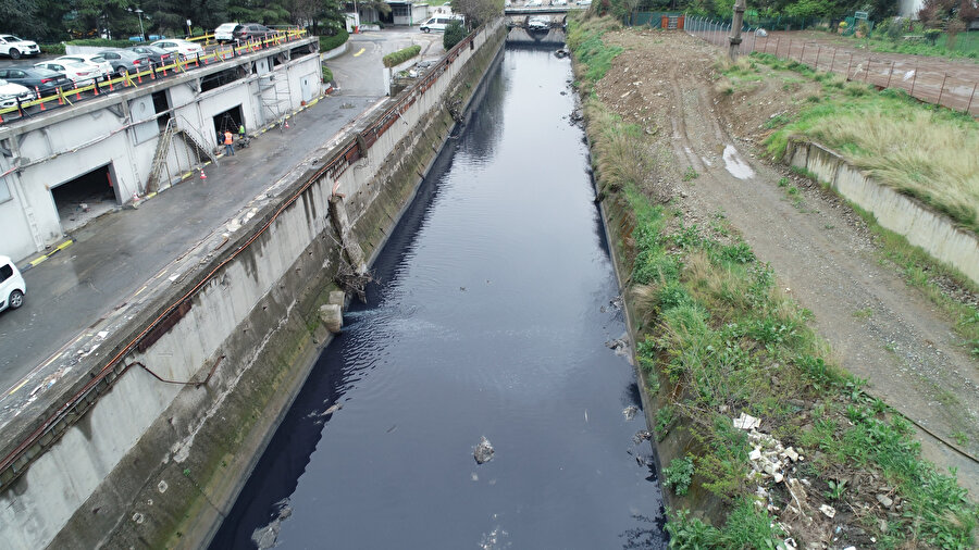Ayamama deresi yine mavi akmaya başladı