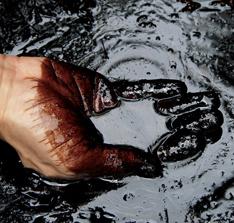 'Dünyada karbonun giderek daha fazla kısıtlandığı bir zamanda, karbon kredilerine yatırım yapmak, zamanla iyi bir ticari yatırım olarak anlam kazanacaktır.'