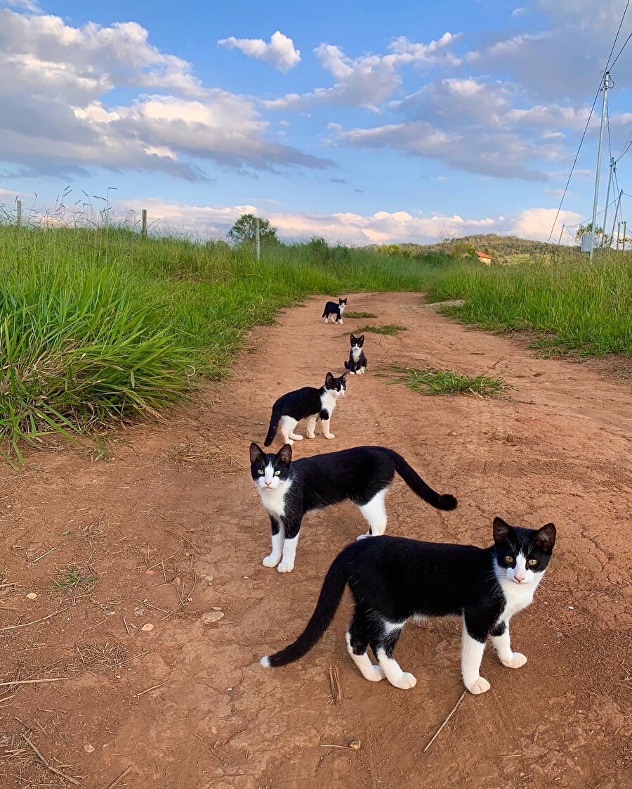 Albüm kapağı gibi olmuş