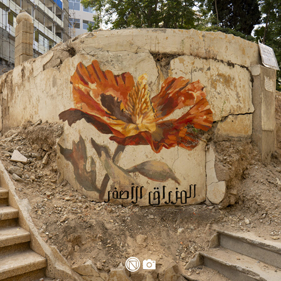 Beyrut'u iyileştirecek çiçekler