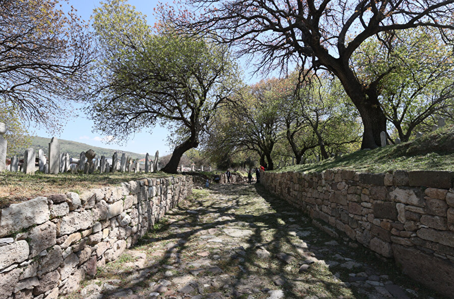 Foça'daki &quot;antik yol&quot; ziyarete açılacak.