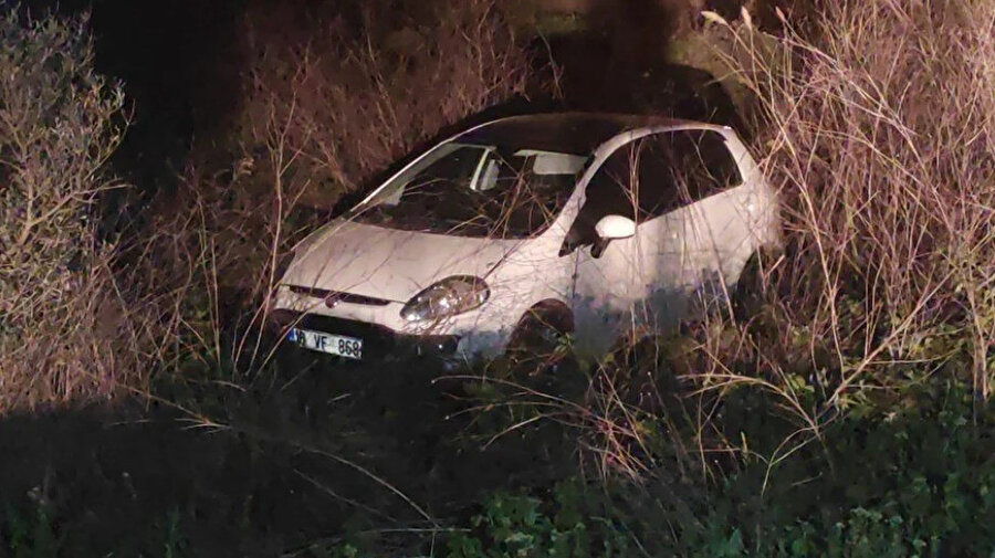 Bursa'da bırakılan ağaç