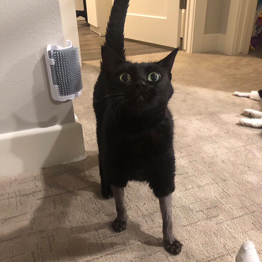 Denize girerken paçalarını sıyıran akrabam: