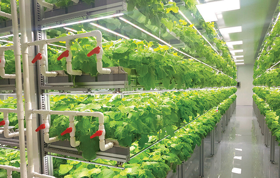 Dikey tarımın pazar büyüklüğü(2018): 2.23 milyar dolar.