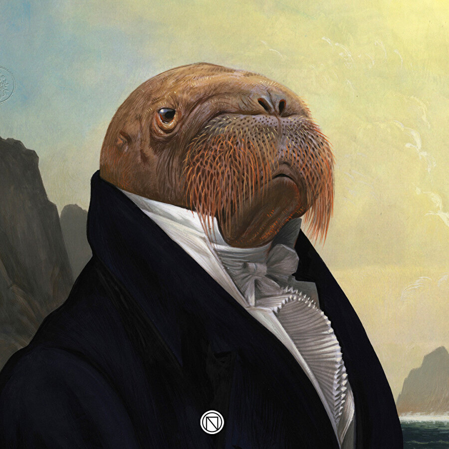 Kurbağa, lemur, balık