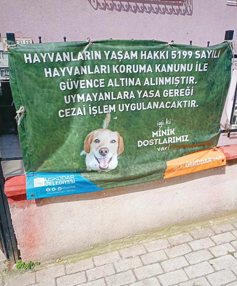 Başıboş köpeklerin hergün sokakta insanlara saldırdığı günlerde Üsküdar Belediyesi’nin sokaklara astırdığı bu ‘tehdit’ afişleri büyük tepki topladı.