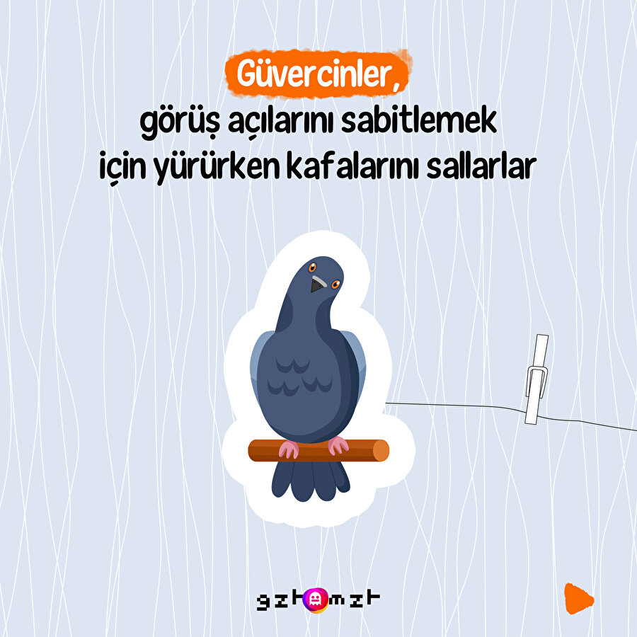 Duyunca çok şaşıracağınız gerçekleri sıraladık