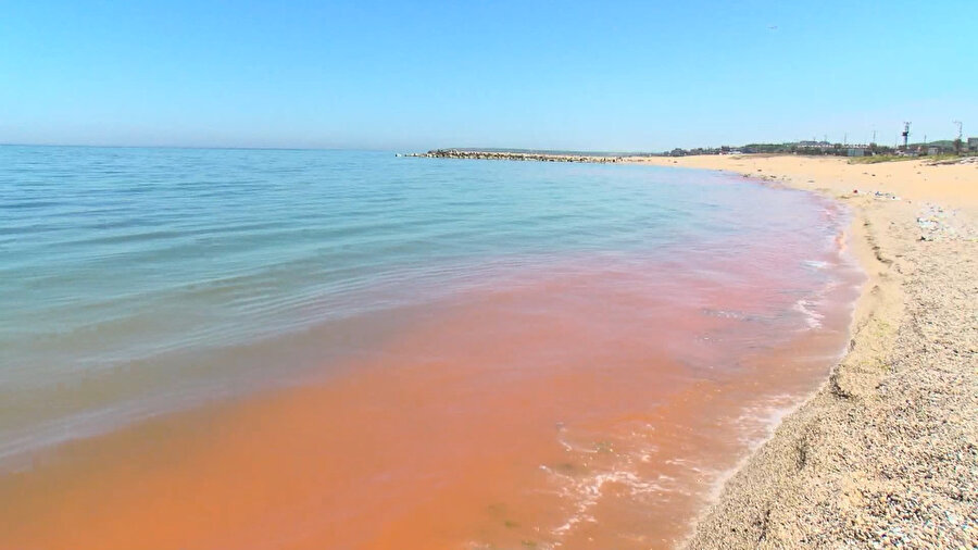 Karadeniz'de korkutan renk değişimi: Kızıla döndü