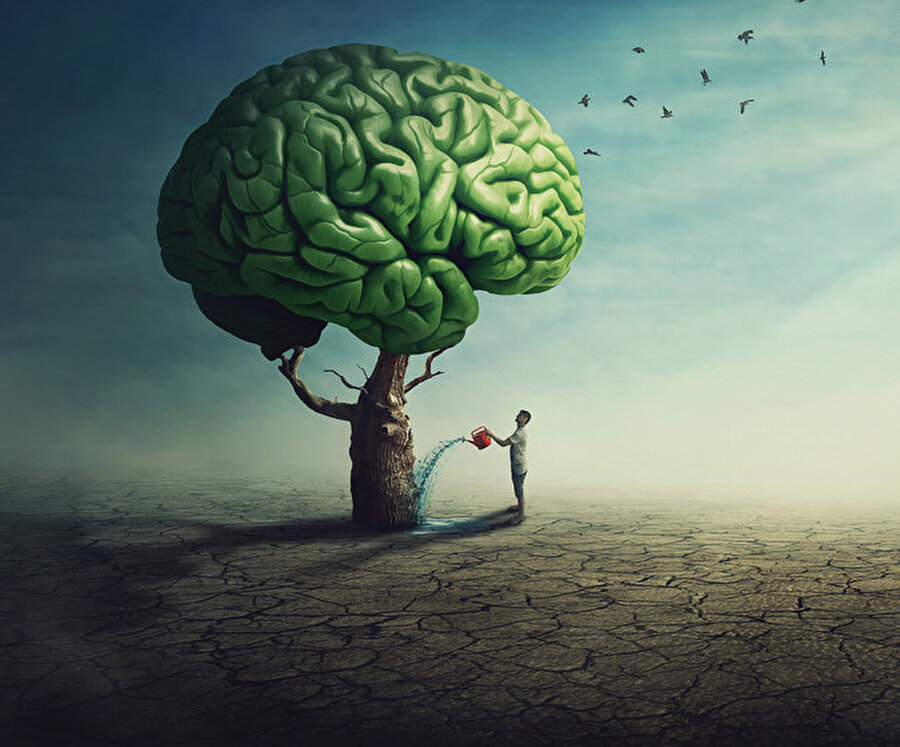 Dijital ruh sağlığı hizmetlerinin mekânsal ve zamansal avantajları, ekonomik olması ve erişim kolaylığı sağlaması, yaygınlaşma hızını arttıran ana nedenler arasında yer alıyor.