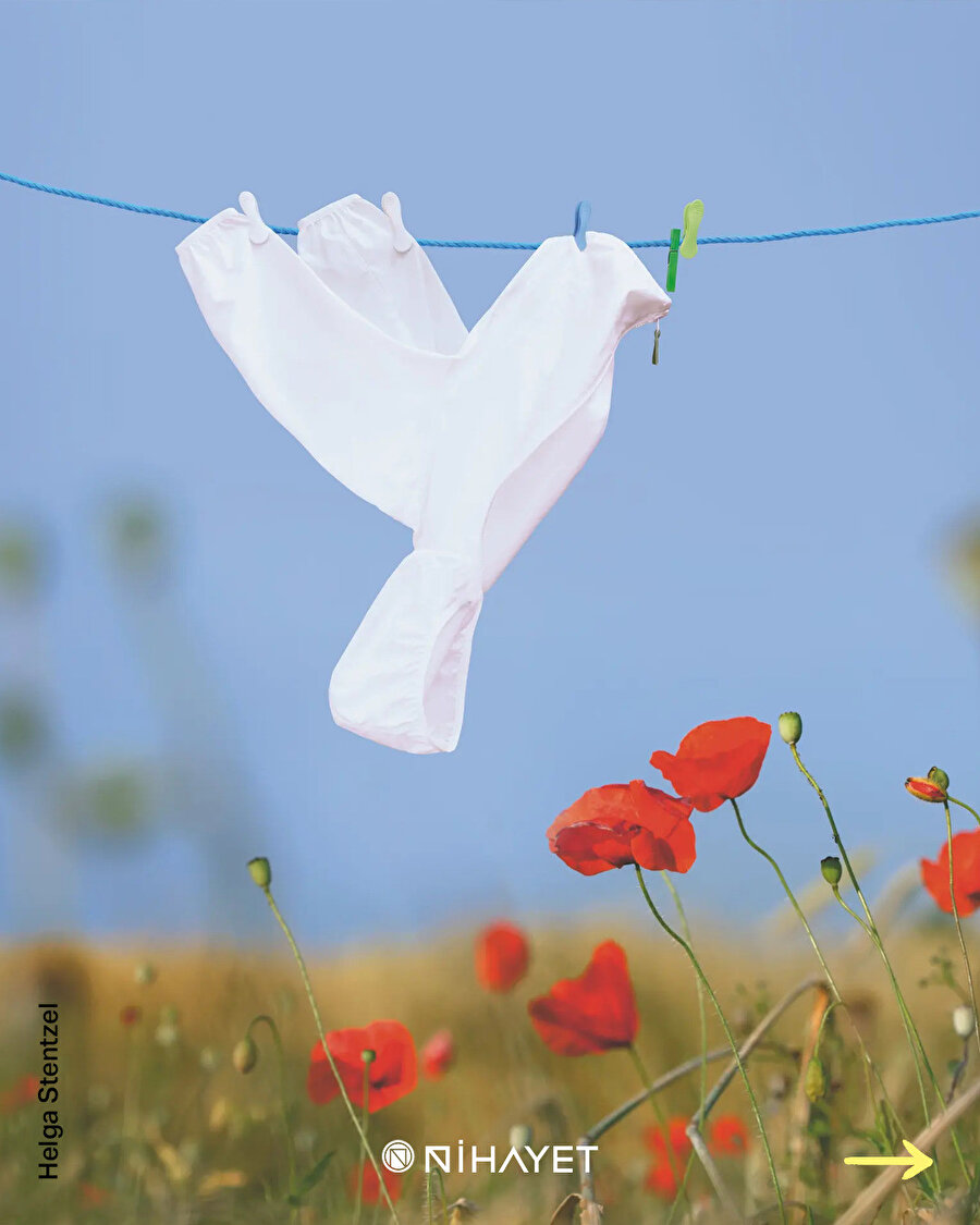 Bir hayvan gördük sanki