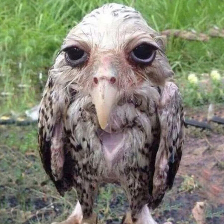 ​Makyaj yaptıktan sonra yağmura yakalanan kızlar: