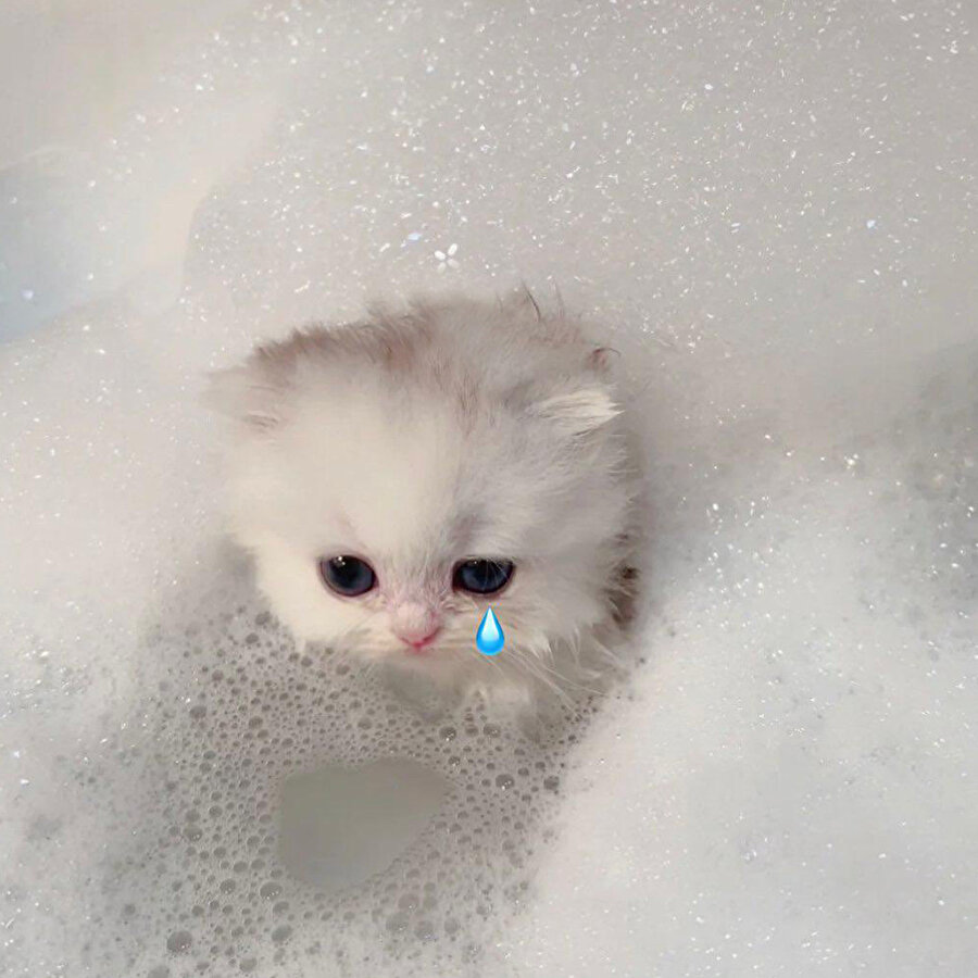 Ofiste tek diyet yapan kişiyim