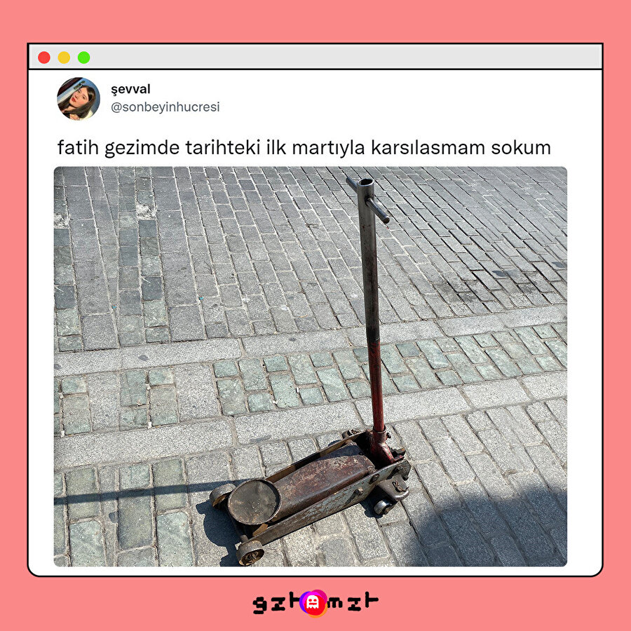 İhtiyar martı diyelim