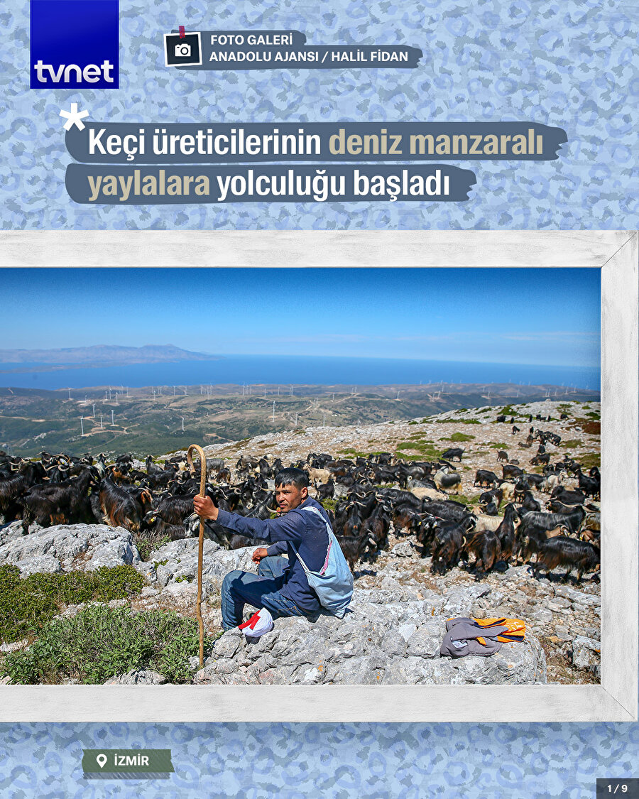 Keçi üreticilerinin deniz manzaralı yaylalara yolculuğu başladı