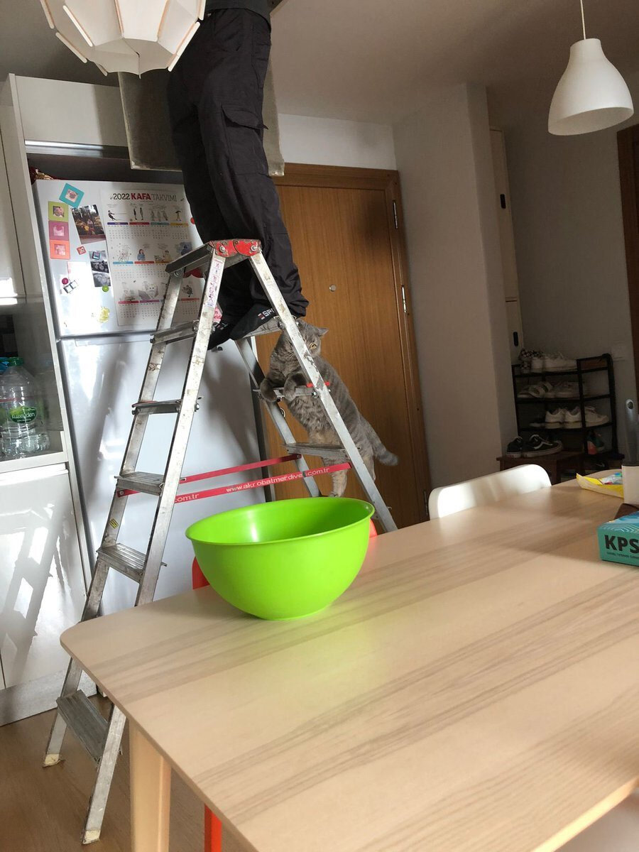 Tuttum ustam sen devam et