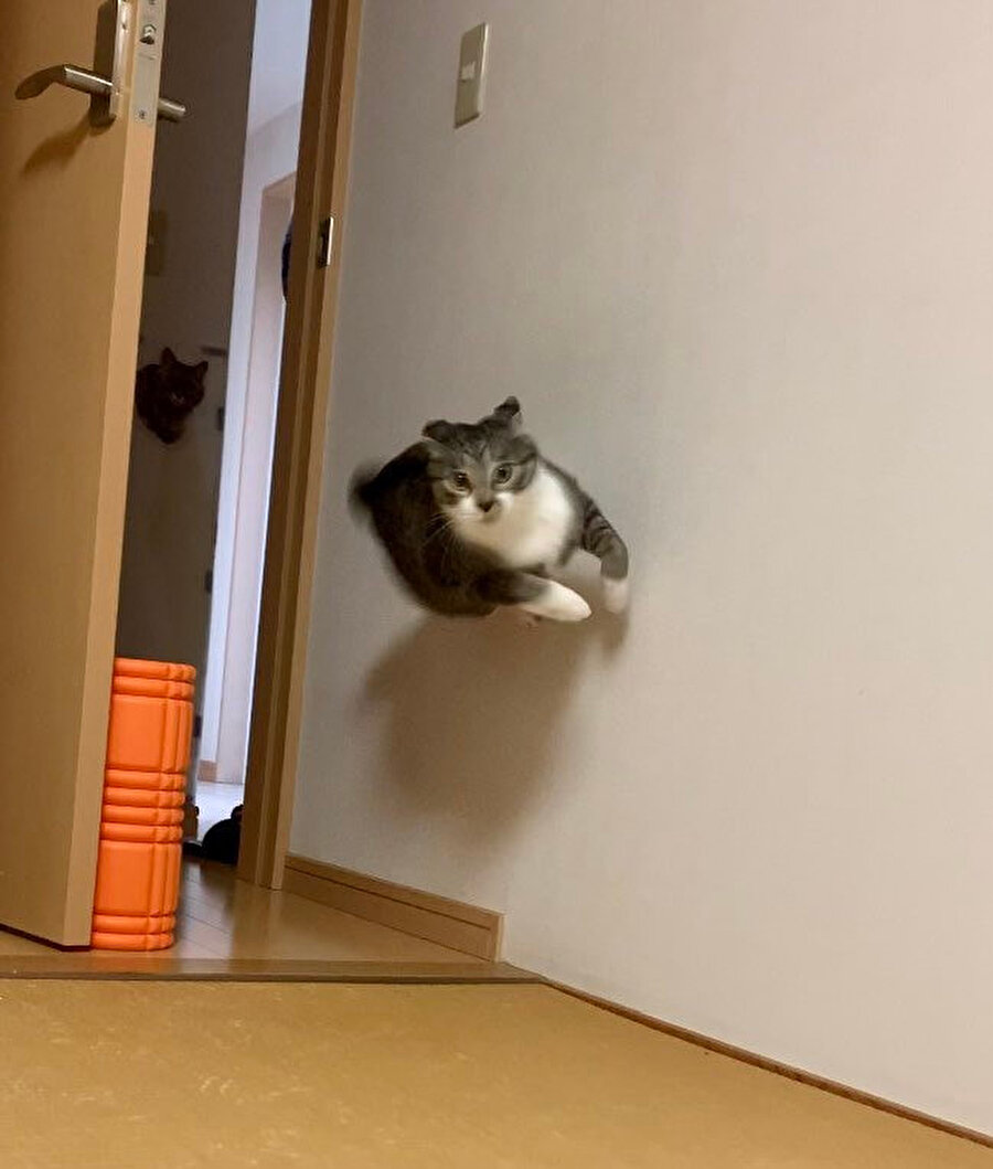 ​En ufak bir ses duyduğunda annem