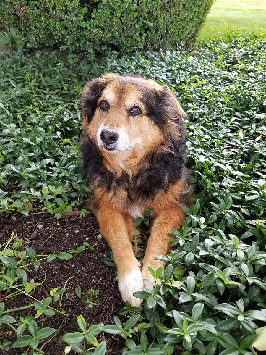 Aynı hatayı 66984. kez yapan kankamı dinliyorum