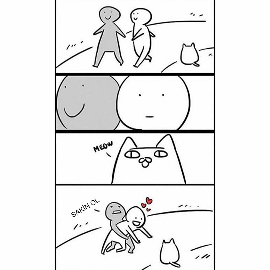 Kedi görünce böyle olan arkadaşlar