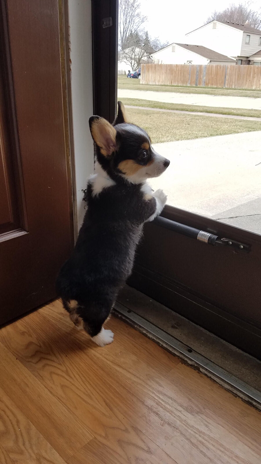 ​Siz gidin benim boyum yetmiyor