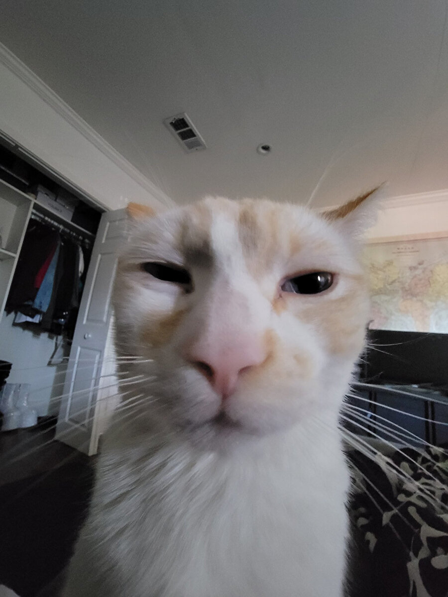 ​Annem: Uyandın mı benim güzel kızım? Ben: