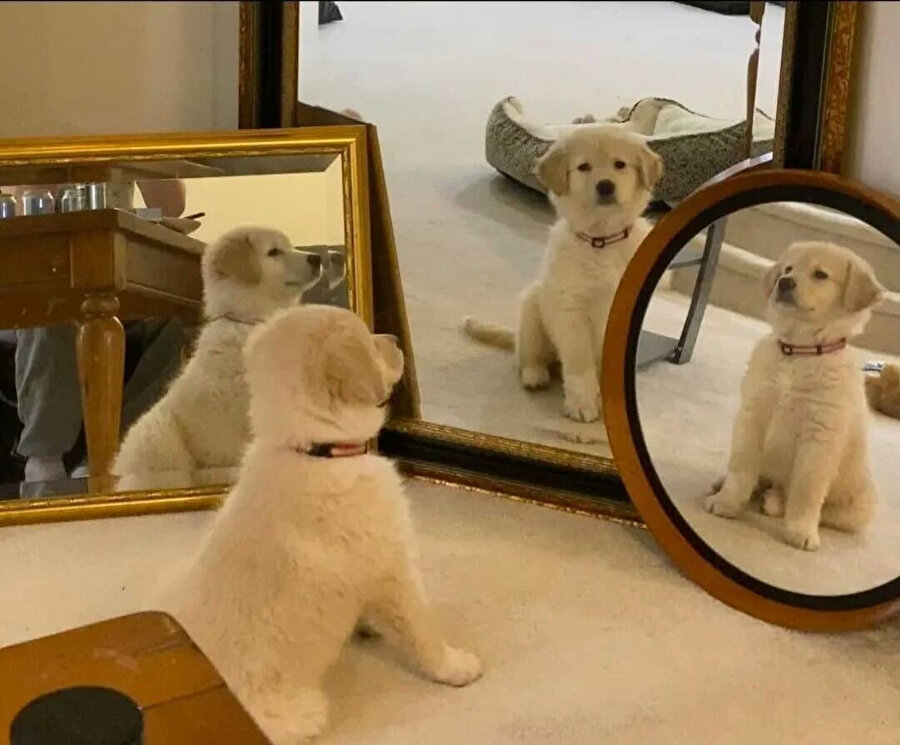 Neden selfie çekerken bu kadar güzel çıkmadığımı düşünüyorum